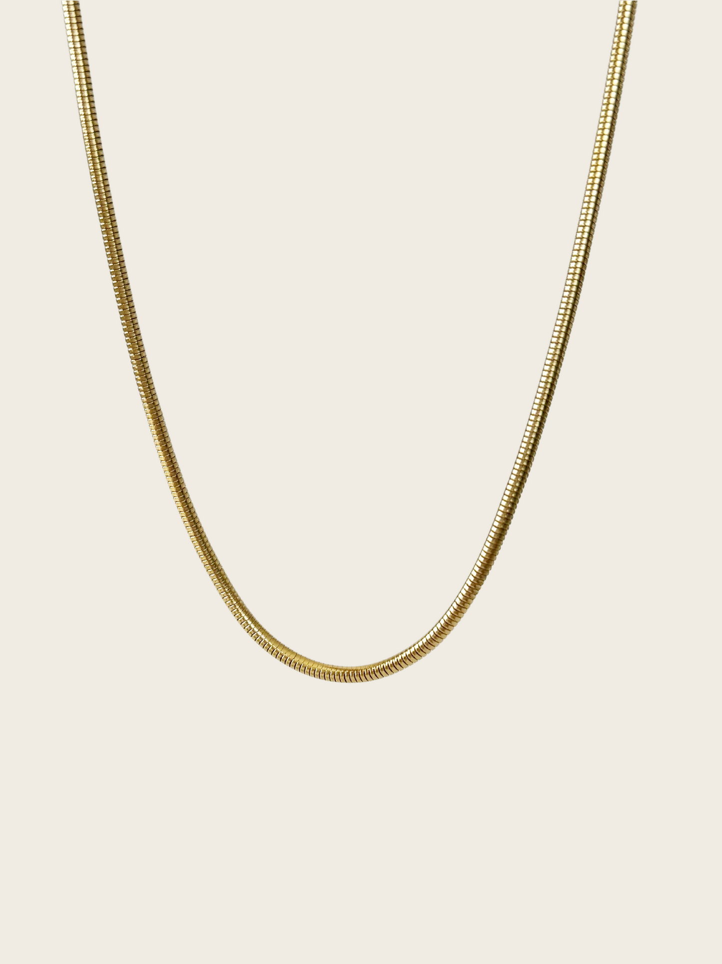 Long Snake Chain Necklace