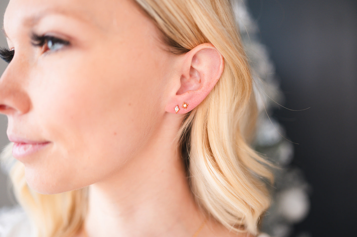 Set the Bar Backdrop Earrings